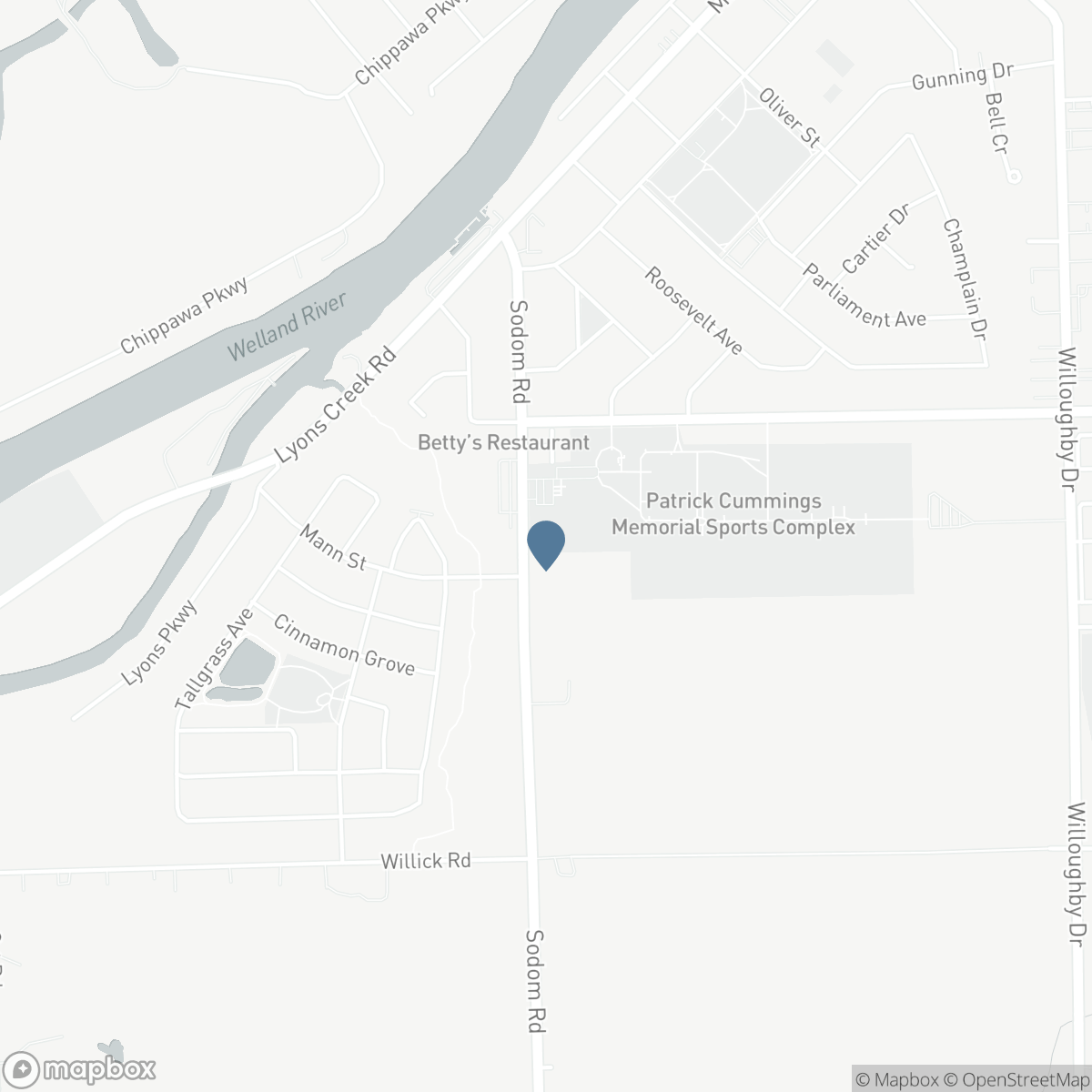 9044 SODOM ROAD, Niagara Falls, Ontario L2E 6S6